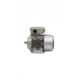 Moteur 220V gaveuse GM45 et L700